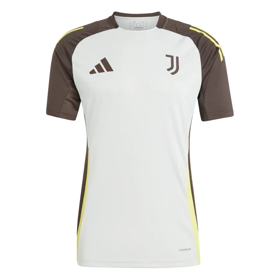 Maillot Juventus 2024-2025 — Gris
