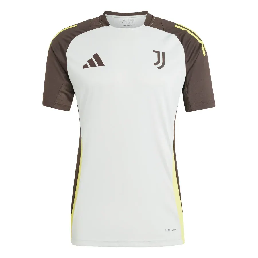 Maillot Juventus 2024-2025 — Gris