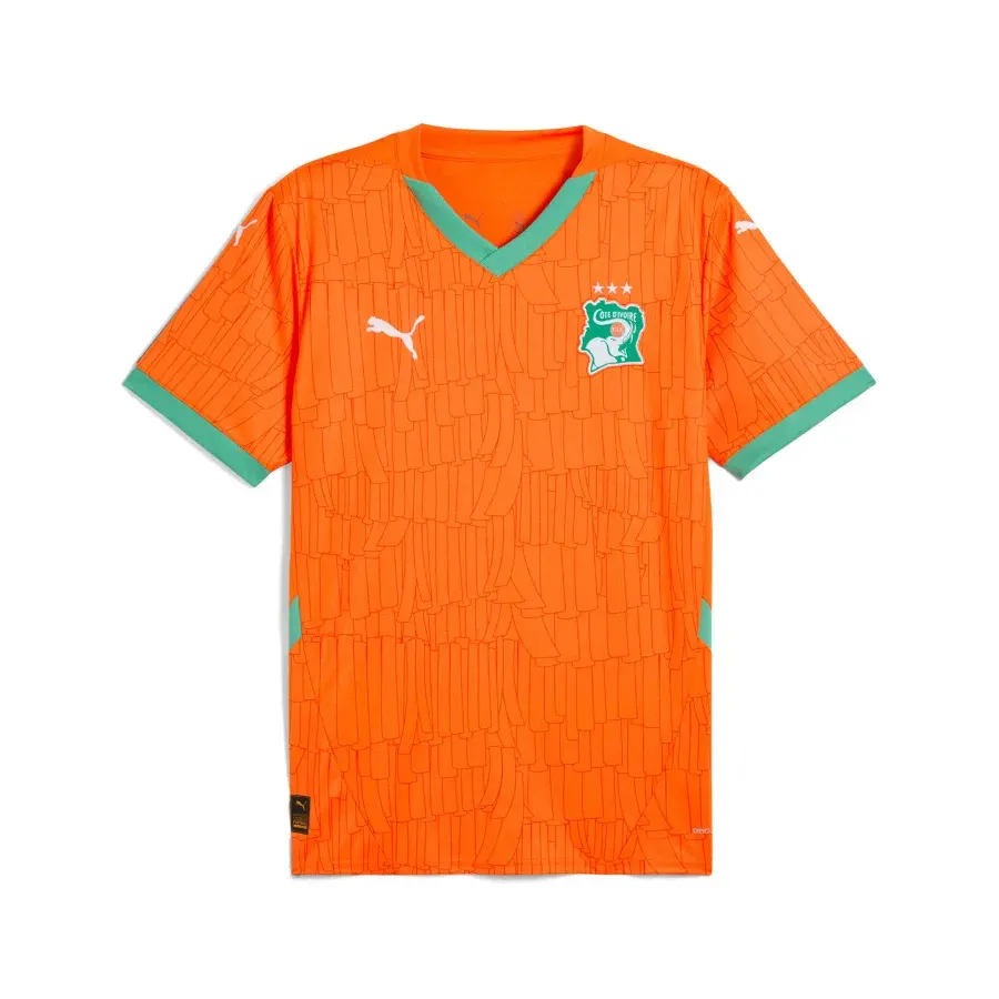 Maillot Domicile Cote Divoire 2025-2026 — Orange