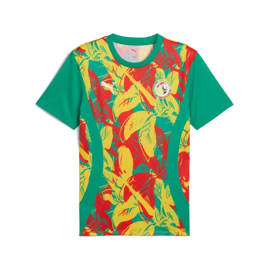 Maillot Senegal 2025-2026 — Vert