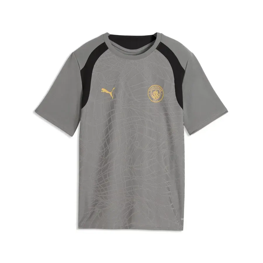 Maillot enfant Manchester City 2026-2027 — Gris