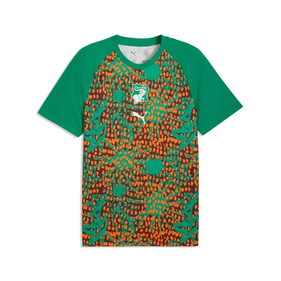 Maillot Cote Divoire 2026-2027 — Vert